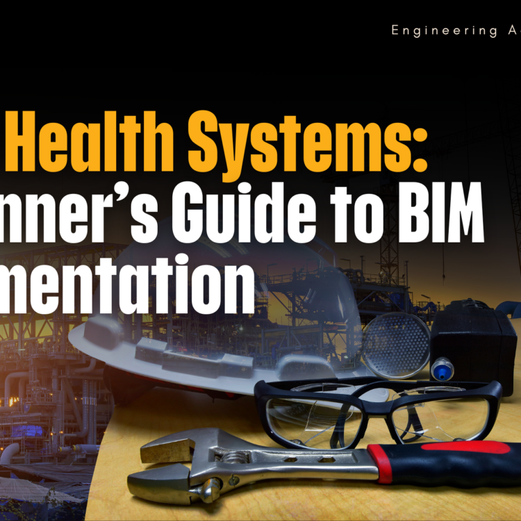 Public Health Systems: A Beginner’s Guide to BIM Implementation